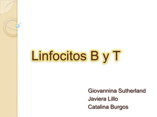 Linfocitos B y T

          Giovannina Sutherland
          Javiera Lillo
          Catalina Burgos
 