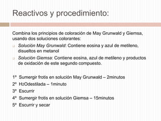 Reactivos y procedimiento:
Combina los principios de coloración de May Grunwald y Giemsa,
usando dos soluciones colorantes:


Solución May Grunwald: Contiene eosina y azul de metileno,
disueltos en metanol



Solución Giemsa: Contiene eosina, azul de metileno y productos
de oxidación de este segundo compuesto.

1º Sumergir frotis en solución May Grunwald – 2minutos
2º H2Odestilada – 1minuto
3º Escurrir
4º Sumergir frotis en solución Giemsa – 15minutos
5º Escurrir y secar

 