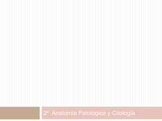 2º Anatomía Patológica y Citología

 