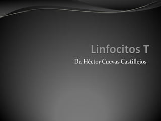 Dr. Héctor Cuevas Castillejos
 