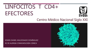 LINFOCITOS T CD4+
EFECTORES
EDWIN DANIEL MALDONADO DOMÍNGUEZ
R2 DE ALERGIA E INMUNOLOGÍA CLÍNICA
Centro Médico Nacional Siglo XXI
 