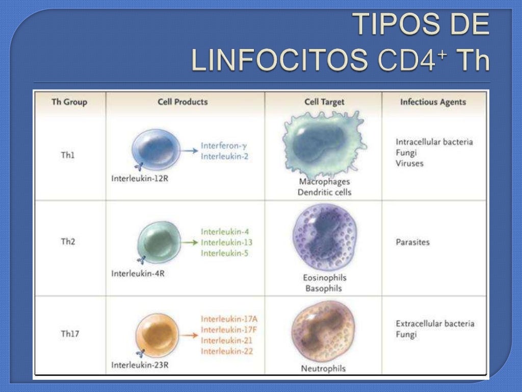 Linfocitos Th1 Y Th2