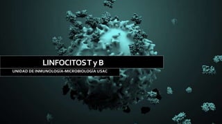 UNIDAD DE INMUNOLOGÍA-MICROBIOLOGÍA USAC
LINFOCITOST yBTyB
 
