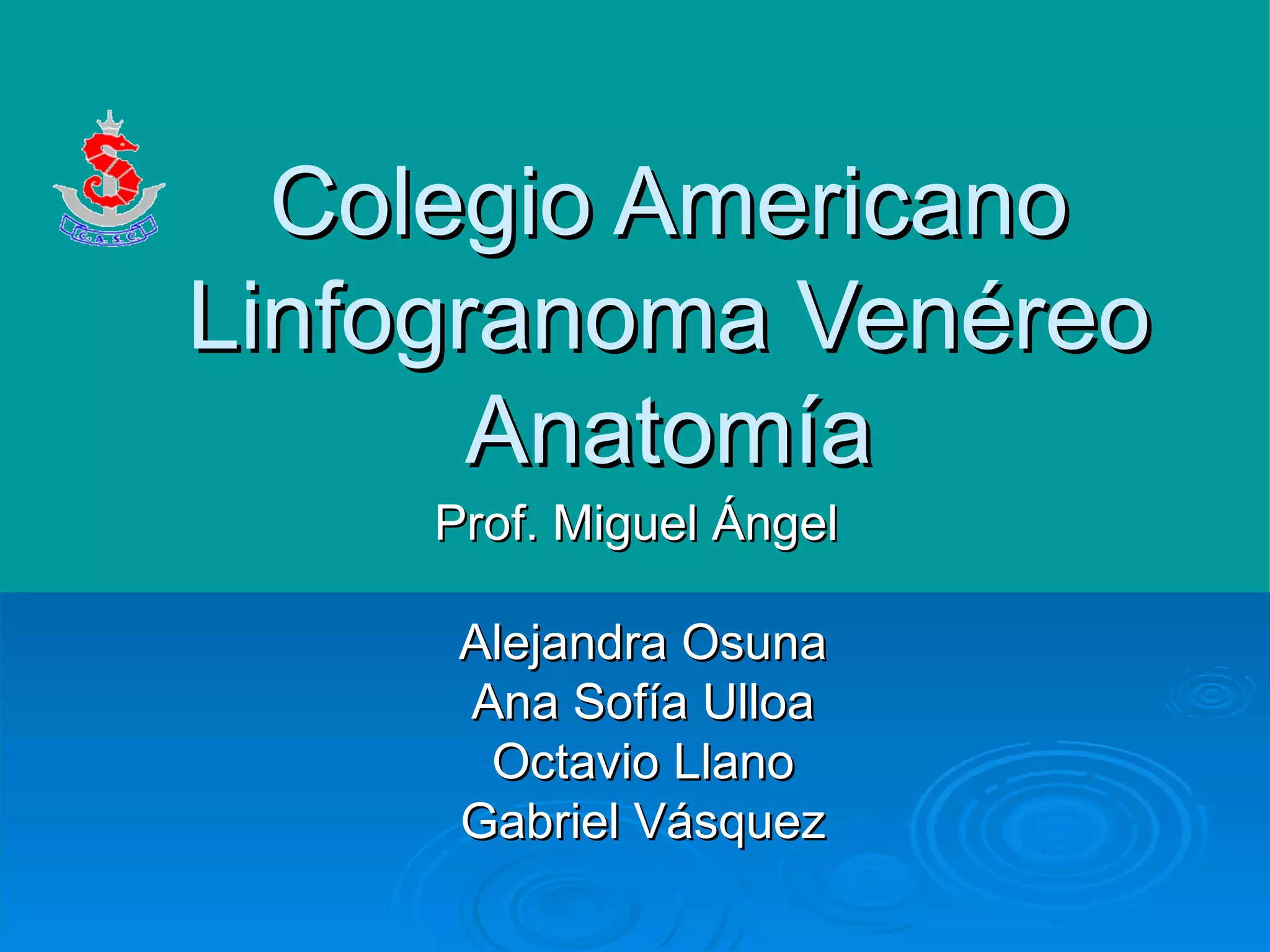 Venereo LINFOGRANULOMA VENEREO | PPT