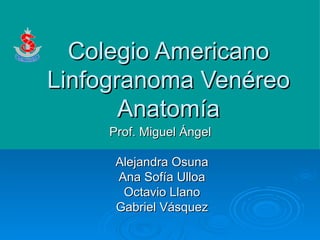 Colegio Americano Linfogranoma Venéreo Anatomía Prof. Miguel Ángel  Alejandra Osuna Ana Sofía Ulloa Octavio Llano Gabriel Vásquez 