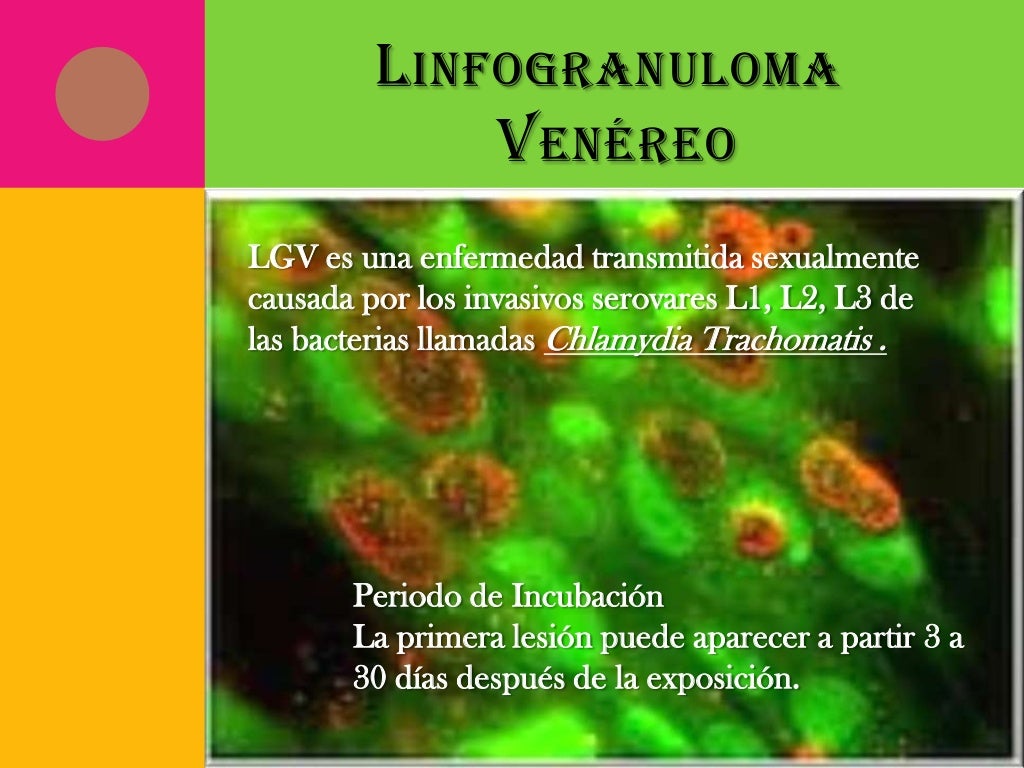 Linfogranuloma venereo