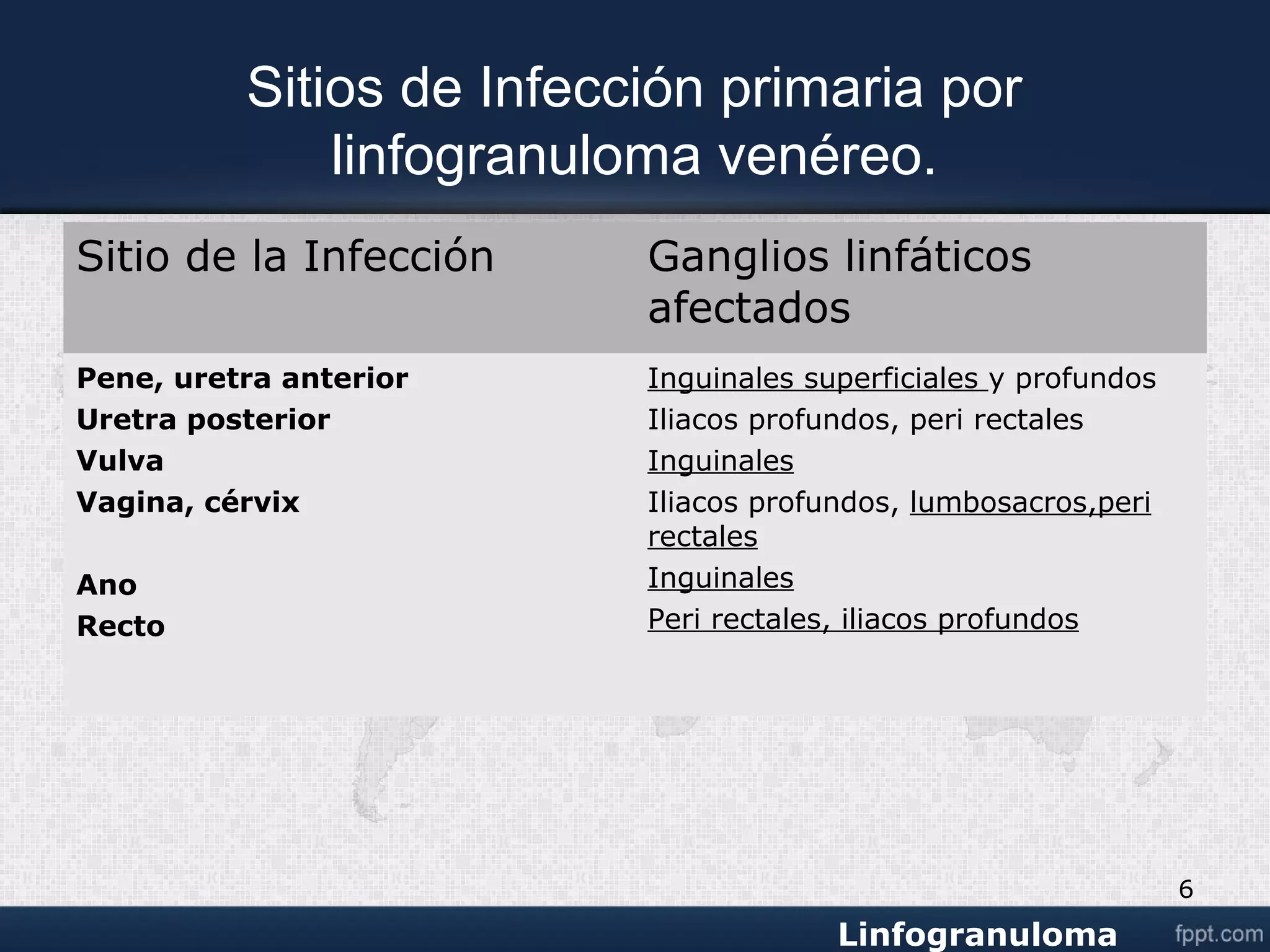 Venereo Linfogranuloma venereo | PPT