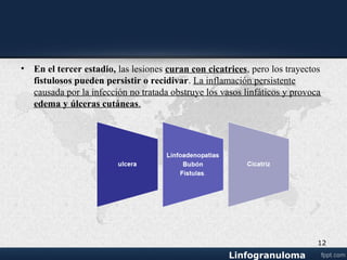 ESTIOMENE
( Ulceraciones crónicas de la
vulva )
Cronicidad:
Edema y fibrosis de vagina -----
estrechez
Vulva ---- elefantiasis
Ulceras crónicas en pared de
vagina
Elefantiasis no labios mayores ni
menores
Clítoris aumenta de tamaño
Vegetaciones polipoides 12
 
