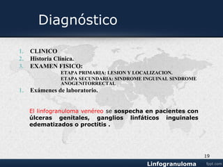 Diagnóstico.
1. CLINICO
2. Historia Clínica.
3. EXAMEN FISICO:
4. ETAPA PRIMARIA: LESION Y LOCALIZACION.
5. ETAPA SECUNDARIA: SINDROME INGUINAL
SINDROME ANOGENITORRECTAL
19
 