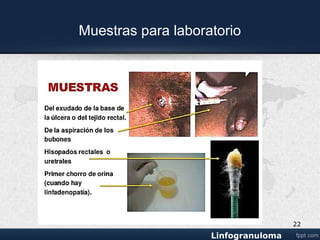 Exámenes de Laboratorio
 Frotis: Gram
 Cultivo: embrión de pollo
 Pruebas serológicas: FC
 Inmunofluorescencia
• Biopsia del ganglio linfático
• Linfocitosis en LCR.
• Hiperglobulinemia Ig A,Ig G ,Ig M aumentadas
• Eritrosedimentación elevada
22
 