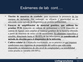 Diagnóstico Diferencial
• Sífilis: induración del chancro
• Herpes genital: por vesículas y ulceras.
• Chancroide: ulcera prominente
SINDROME INGUINAL: hernia inguinal encarcerada, enf. Hodgking
SINDROME ANOGENITORRECTAL: cáncer rectal, tuberculosis.
24
 