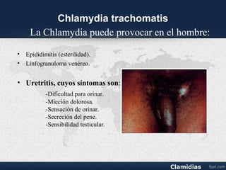 Linfogranuloma venereo