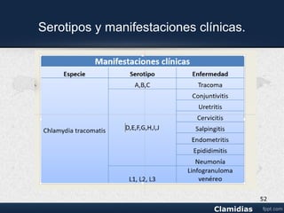 Linfogranuloma venereo