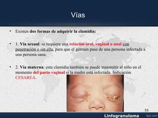Linfogranuloma venereo