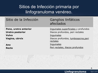 Sitios de Infección primaria por
linfogranuloma venéreo.
Sitio de la Infección Ganglios linfáticos
afectados
Pene, uretra anterior
Uretra posterior
Vulva
Vagina, cérvix
Ano
Recto
Inguinales superficiales y profundos
Iliacos profundos, perirrectales
Inguinales
Iliacos profundos,
lumbosacros,perirrectales
Inguinales
Perirrectales, iliacos profundos
6
 
