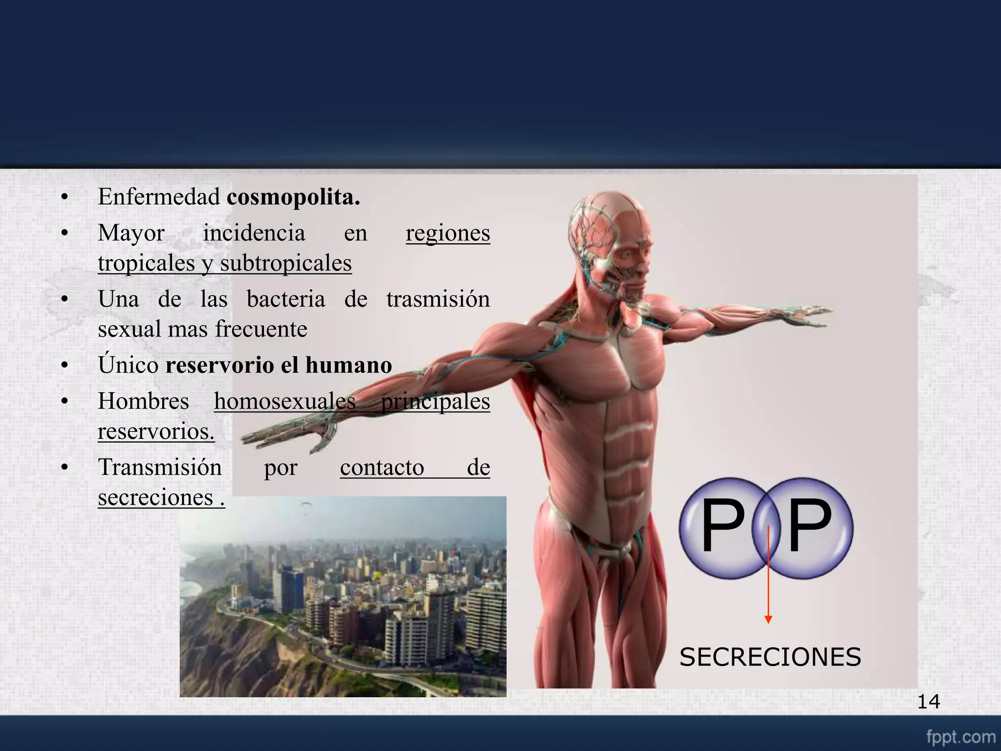 Venereo linfogranuloma venereo.ppt