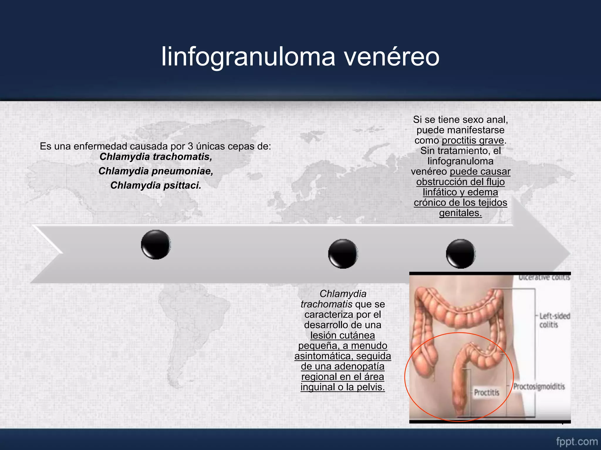 Venereo linfogranuloma venereo.ppt