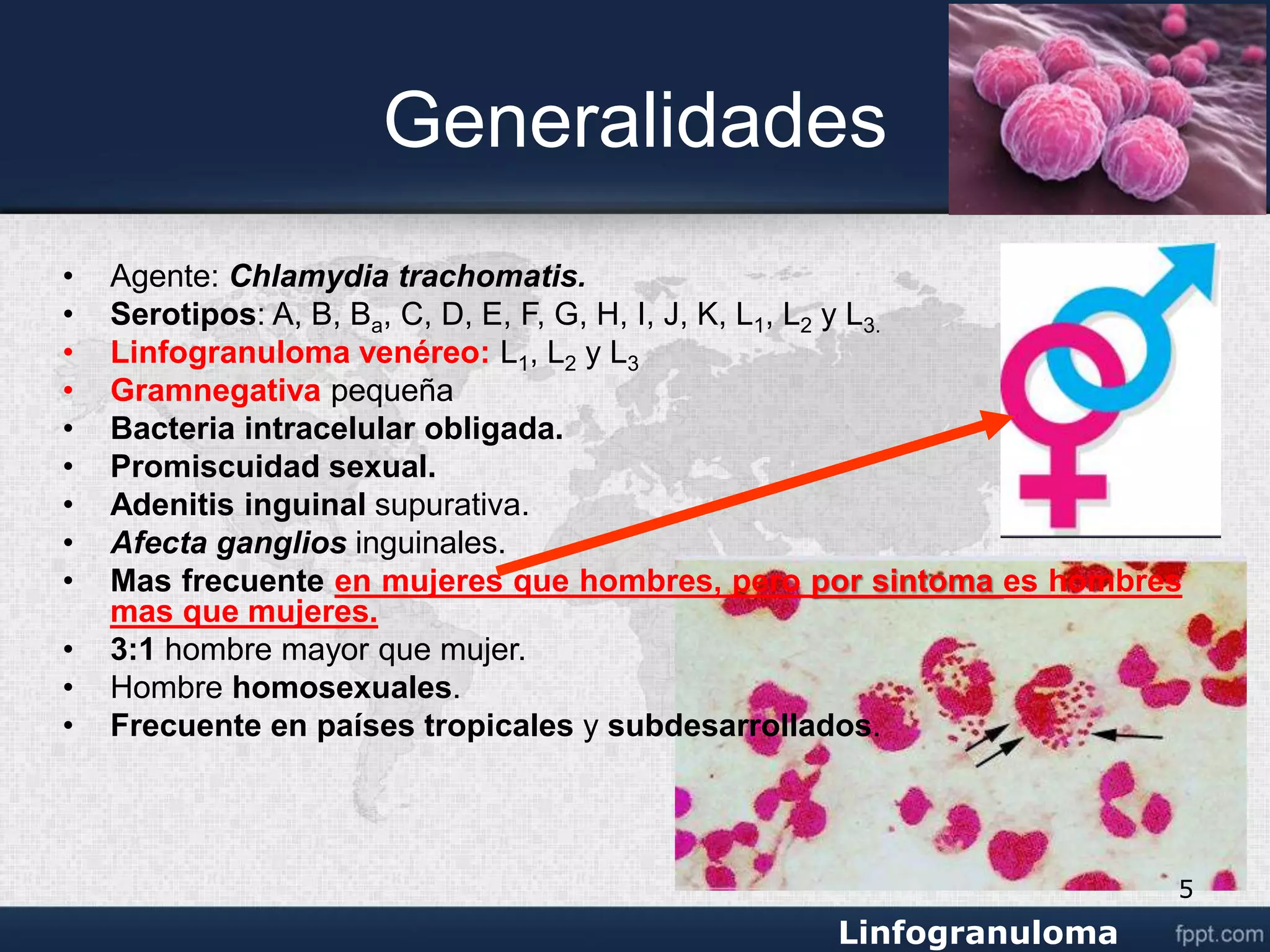 Venereo linfogranuloma venereo.ppt