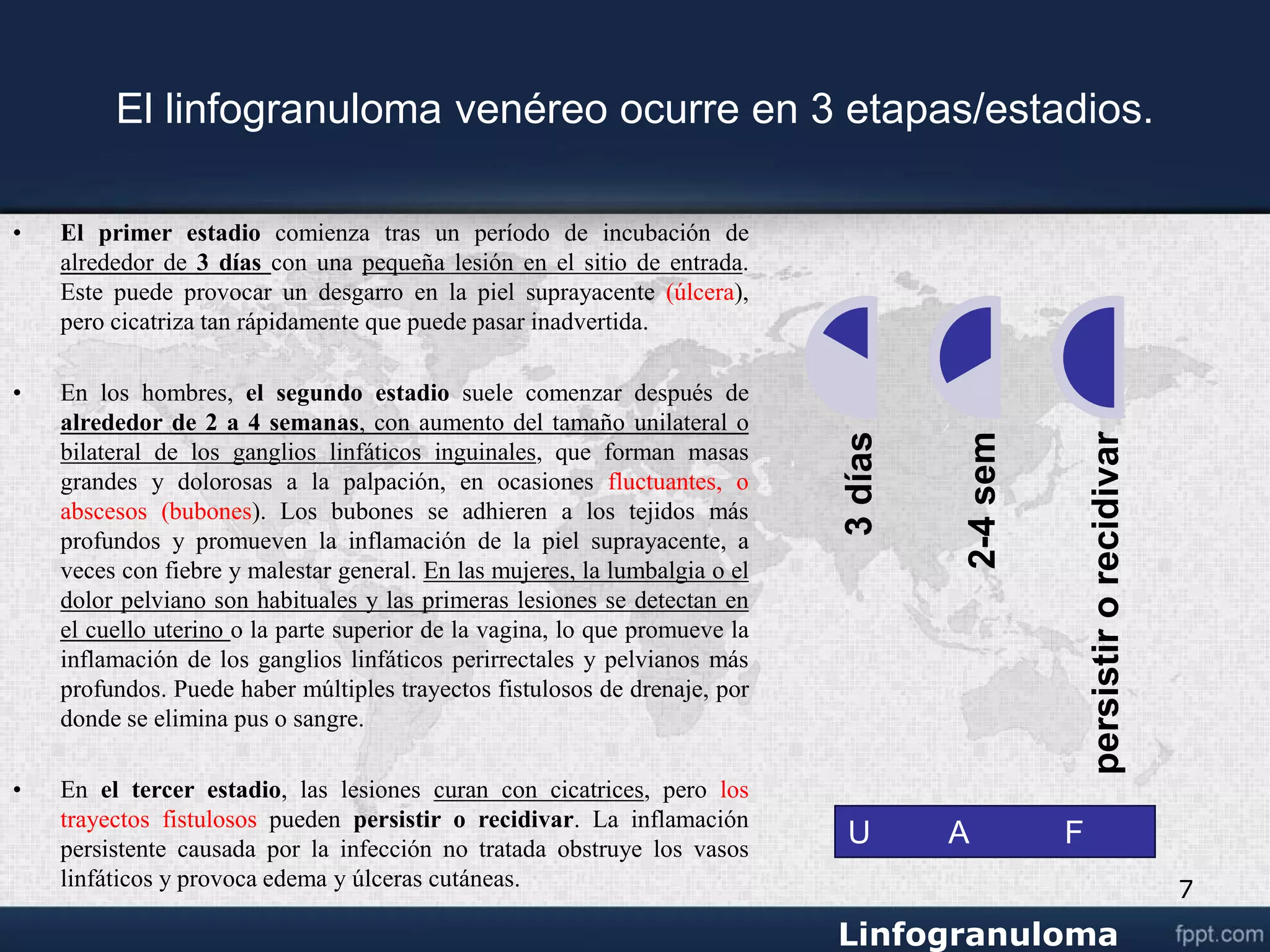 Venereo linfogranuloma venereo.ppt