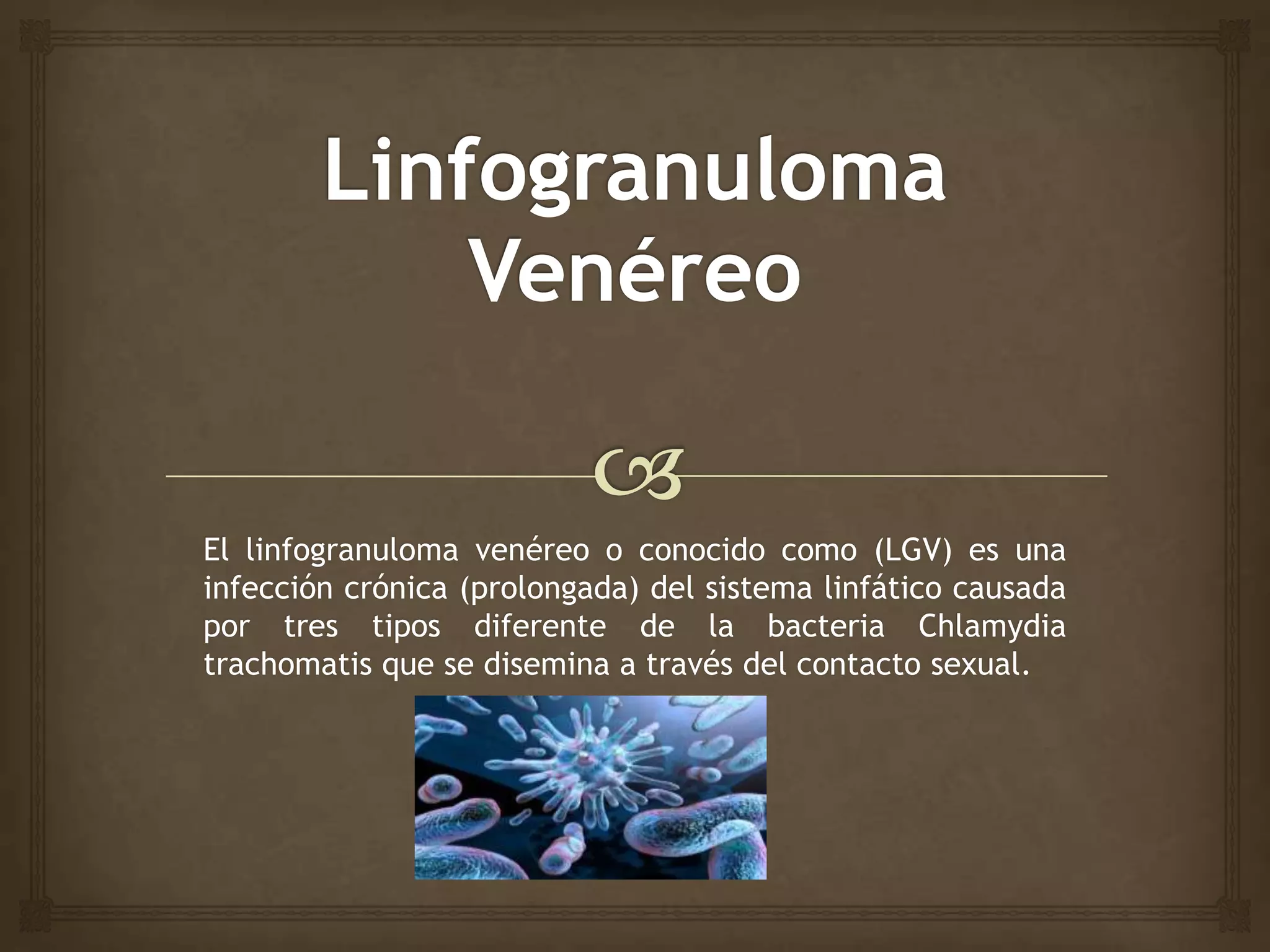 Venereo Linfogranuloma venéreo | PPTX