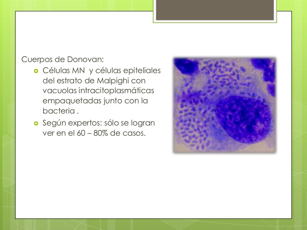 Linfogranuloma venéreo