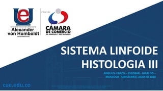 SISTEMA LINFOIDE
HISTOLOGIA III
ANGULO- ERAZO – ESCOBAR - GIRALDO –
MOSCOSO - SINISTERRA| AGOSTO 2018
 