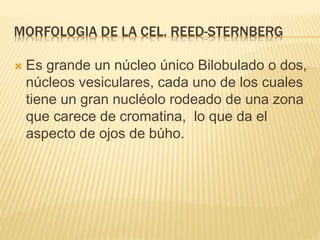 MORFOLOGIA DE LA CEL. REED-STERNBERG
 Es grande un núcleo único Bilobulado o dos,
núcleos vesiculares, cada uno de los cuales
tiene un gran nucléolo rodeado de una zona
que carece de cromatina, lo que da el
aspecto de ojos de búho.
 