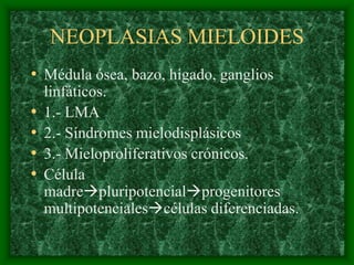 NEOPLASIAS MIELOIDES
• Médula ósea, bazo, hígado, ganglios
    linfáticos.
•   1.- LMA
•   2.- Síndromes mielodisplásicos
•   3.- Mieloproliferativos crónicos.
•   Célula
    madrepluripotencialprogenitores
    multipotencialescélulas diferenciadas.
 