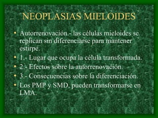 NEOPLASIAS MIELOIDES
• Autorrenovación.- las células mieloides se
    replican sin diferenciarse para mantener
    estirpe.
•   1.- Lugar que ocupa la célula transformada.
•   2.- Efectos sobre la autorrenovación.
•   3.- Consecuencias sobre la diferenciación.
•   Los PMP y SMD, pueden transformarse en
    LMA.
 