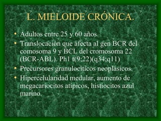 L. MIELOIDE CRÓNICA.
• Adultos entre 25 y 60 años.
• Translocación que afecta al gen BCR del
  comosoma 9 y BCL del cromosoma 22
  (BCR-ABL). Ph1 t(9;22)(q34;q11)
• Precursores granulocíticos neoplásicos.
• Hipercelularidad medular, aumento de
  megacariocitos atípicos, histiocitos azul
  marino.
 