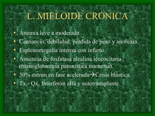 L. MIELOIDE CRÓNICA
• Anemia leve a moderada
• Cansancio, debilidad, pérdida de peso y anorexia.
• Esplenomegalia intensa con infarto.
• Ausencia de fosfatasa alcalina leucocitaria
  (hemoglobinuria paroxística nocturna).
• 50% entran en fase aceleradaCrisis blástica.
• Tx.- Qx, Interferón alfa y autotransplante.
 