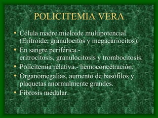 POLICITEMIA VERA
• Célula madre mieloide multipotencial
    (Eritroide, granulocitos y megacariocitos).
•   En sangre periférica.-
    eritrocitosis, granulocitosis y trombocitosis.
•   Policitemia relativa.- hemoconcetración.
•   Organomegalias, aumento de basófilos y
    plaquetas anormalmente grandes.
•   Fibrosis medular.
 