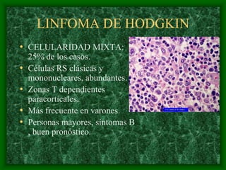 LINFOMA DE HODGKIN
• CELULARIDAD MIXTA:
    25% de los casos.
•   Células RS clásicas y
    mononucleares, abundantes.
•   Zonas T dependientes
    paracorticales.
•   Más frecuente en varones.
•   Personas mayores, síntomas B
    , buen pronóstico.
 