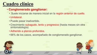 Cuadro clínico
• Conglomerado ganglionar:
• Suele iniciarse de manera inicial en la región anterior de cuello.
• Unilateral.
• Puede pasar inadvertido.
• Crecimiento subagudo, lento y progresivo (hasta meses sin otra
sintomatología)
• Adherido a planos profundos.
• 66% de los casos, acompañado de conglomerado ganglionar.
 
