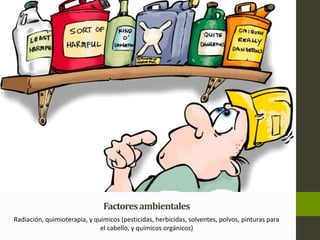 Factores ambientales 
Radiación, quimioterapia, y químicos (pesticidas, herbicidas, solventes, polvos, pinturas para 
el cabello, y químicos orgánicos) 
 