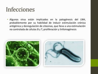 Infecciones 
• Algunos virus están implicados en la patogénesis del LNH, 
probablemente por su habilidad de inducir estimulación crónica 
antigénica y desregulación de citosinas, que lleva a una estimulación 
no controlada de células B y T, proliferación y linfomagénesis 
 