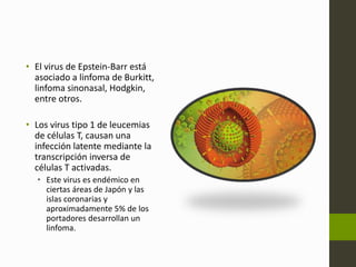 • El virus de Epstein-Barr está 
asociado a linfoma de Burkitt, 
linfoma sinonasal, Hodgkin, 
entre otros. 
• Los virus tipo 1 de leucemias 
de células T, causan una 
infección latente mediante la 
transcripción inversa de 
células T activadas. 
• Este virus es endémico en 
ciertas áreas de Japón y las 
islas coronarias y 
aproximadamente 5% de los 
portadores desarrollan un 
linfoma. 
 