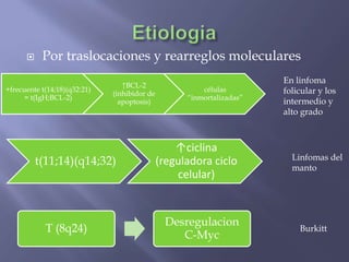     Por traslocaciones y rearreglos moleculares
                                                                       En linfoma
                                 ↑BCL-2
+frecuente t(14;18)(q32:21)                             células        folicular y los
                              (inhibidor de
      = t(IgH;BCL-2)                                ―inmortalizadas‖
                                apoptosis)                             intermedio y
                                                                       alto grado



                                                  ↑ciclina
                                                                         Linfomas del
          t(11;14)(q14;32)                    (reguladora ciclo          manto
                                                  celular)


                                               Desregulacion
            T (8q24)                                                       Burkitt
                                                  C-Myc
 