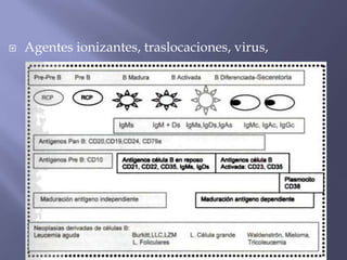    Agentes ionizantes, traslocaciones, virus,
 