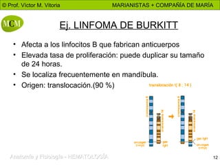 Ej. LINFOMA DE BURKITT Afecta a los linfocitos B que fabrican anticuerpos Elevada tasa de proliferación: puede duplicar su tamaño de 24 horas. Se localiza frecuentemente en mandíbula. Origen: translocación.(90 %) 