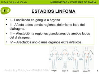 ESTADÍOS LINFOMA I – Localizado en ganglio u órgano II - Afecta a dos o más regiones del mismo lado del diafragma. III – Afectación a regiones glandulares de ambos lados del diafragma. IV – Afectados uno o más órganos extralinfáticos. 