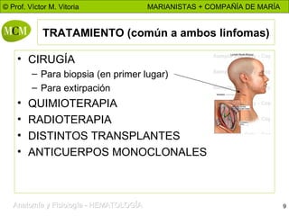 TRATAMIENTO (común a ambos linfomas) CIRUGÍA Para biopsia (en primer lugar) Para extirpación QUIMIOTERAPIA RADIOTERAPIA DISTINTOS TRANSPLANTES ANTICUERPOS MONOCLONALES 