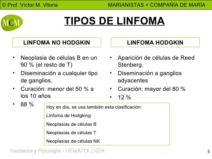 Resultado de imagen para tipos de linfoma