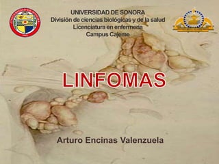 UNIVERSIDAD DE SONORA
División de ciencias biológicas y de la salud
Licenciatura en enfermería
Campus Cajeme

Arturo Encinas Valenzuela

 