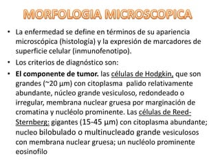 • La enfermedad se define en términos de su apariencia
microscópica (histología) y la expresión de marcadores de
superficie celular (inmunofenotipo).
• Los criterios de diagnóstico son:
• El componente de tumor. las células de Hodgkin, que son
grandes (~20 µm) con citoplasma palido relativamente
abundante, núcleo grande vesiculoso, redondeado o
irregular, membrana nuclear gruesa por marginación de
cromatina y nucléolo prominente. Las células de Reed-
Sternberg: gigantes (15-45 µm) con citoplasma abundante;
nucleo bilobulado o multinucleado grande vesiculosos
con membrana nuclear gruesa; un nucléolo prominente
eosinofilo
 
