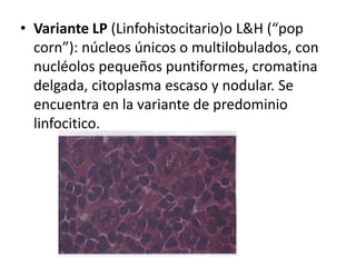• Variante LP (Linfohistocitario)o L&H (“pop
corn”): núcleos únicos o multilobulados, con
nucléolos pequeños puntiformes, cromatina
delgada, citoplasma escaso y nodular. Se
encuentra en la variante de predominio
linfocitico.
 