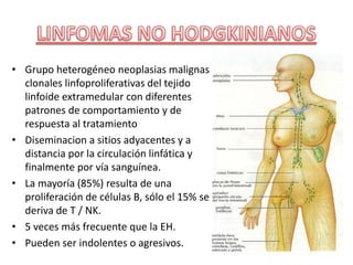 • Grupo heterogéneo neoplasias malignas
clonales linfoproliferativas del tejido
linfoide extramedular con diferentes
patrones de comportamiento y de
respuesta al tratamiento
• Diseminacion a sitios adyacentes y a
distancia por la circulación linfática y
finalmente por vía sanguínea.
• La mayoría (85%) resulta de una
proliferación de células B, sólo el 15% se
deriva de T / NK.
• 5 veces más frecuente que la EH.
• Pueden ser indolentes o agresivos.
 