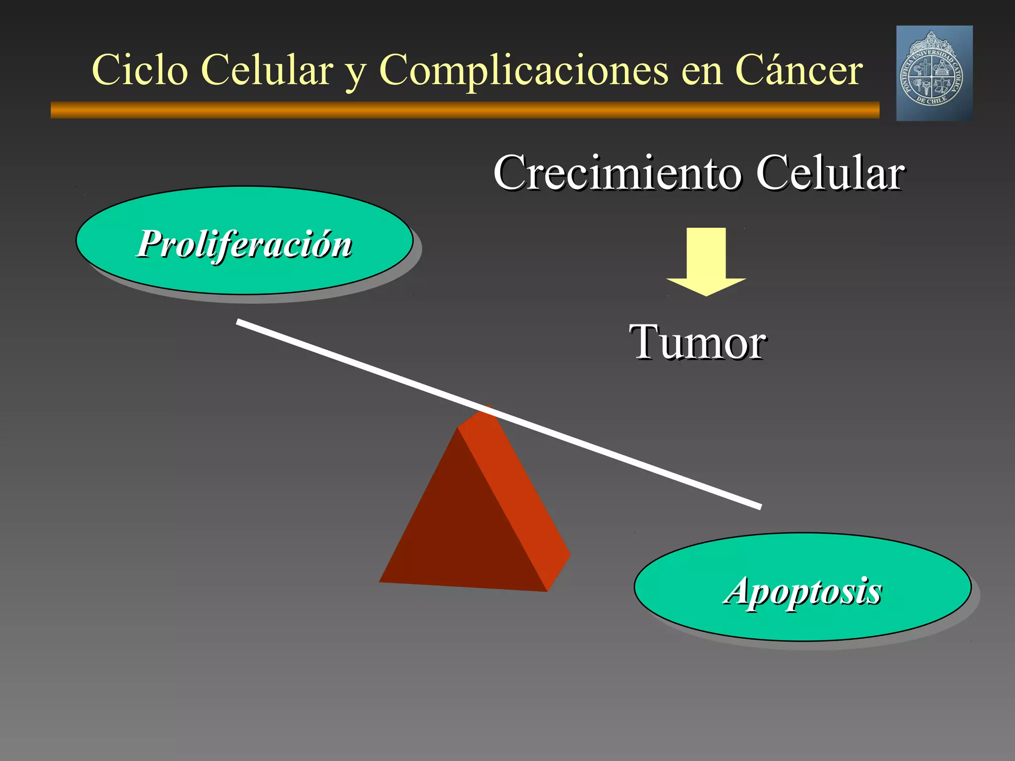 Ciclo Celular y Complicaciones en Cáncer
ProliferaciónProliferaciónProliferaciónProliferación
ApoptosisApoptosisApoptosisApoptosis
Crecimiento CelularCrecimiento Celular
TumorTumor
 