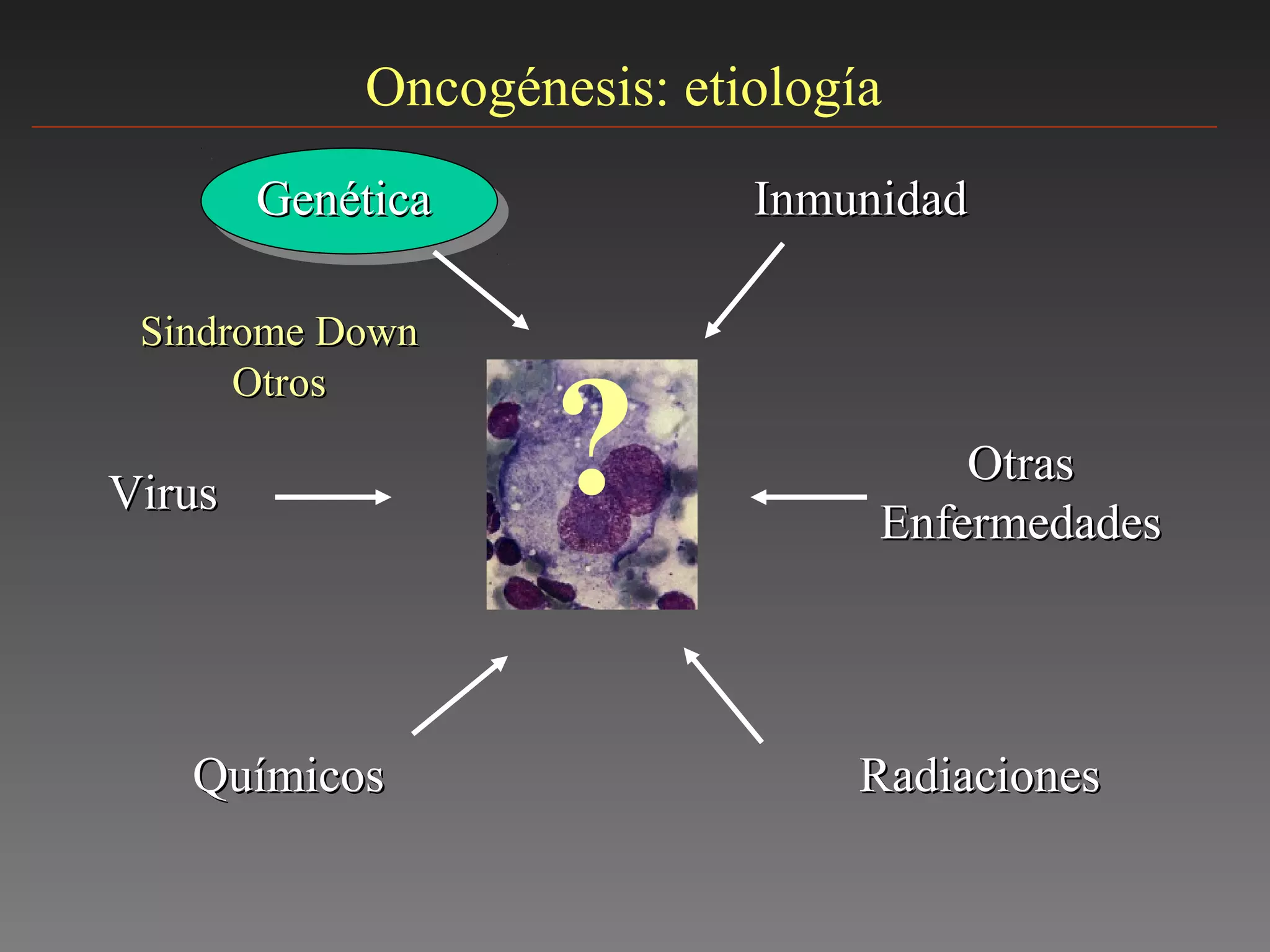 Oncogénesis: etiología
?
GenéticaGenética
VirusVirus
QuímicosQuímicos RadiacionesRadiaciones
InmunidadInmunidad
OtrasOtras
EnfermedadesEnfermedades
Sindrome DownSindrome Down
OtrosOtros
 