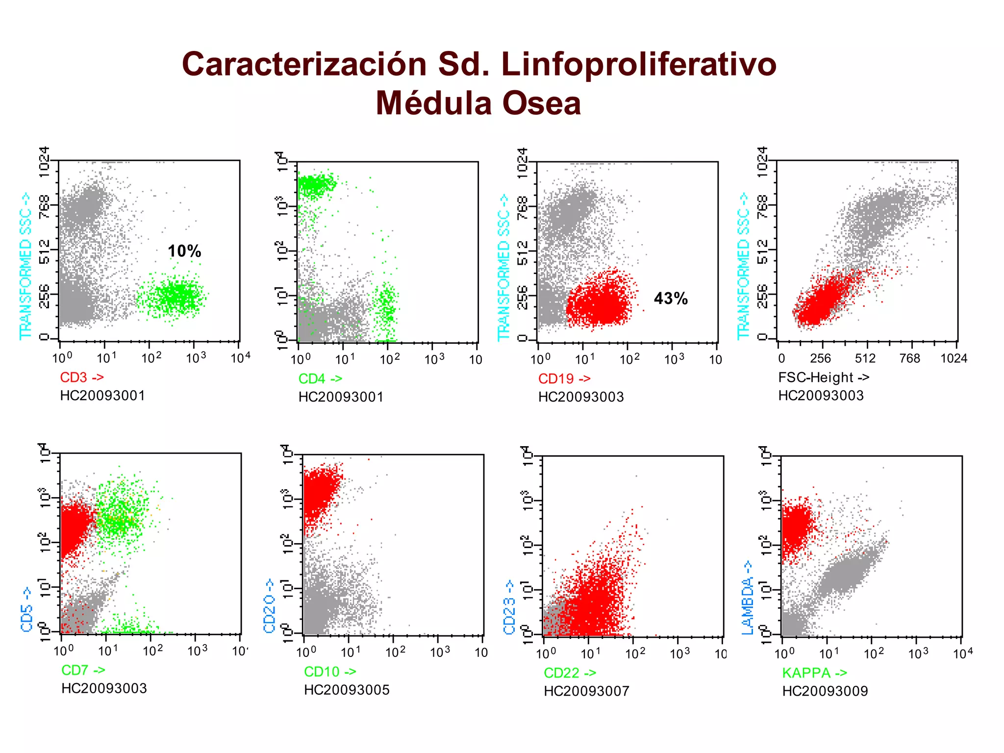 10 10 10 10 100 1 2 3 4
HC20093001
CD4 ->
10 10 10 10 100 1 2 3 4
HC20093001
CD3 ->
10%
10 10 10 10 100 1 2 3 4
HC20093003
CD19 ->
0 256 512 768 1024
HC20093003
FSC-Height ->
10 10 10 10 100 1 2 3 4
HC20093003
CD7 ->
43%
10 10 10 10 100 1 2 3 4
HC20093005
CD10 ->
10 10 10 10 100 1 2 3 4
HC20093007
CD22 ->
10 10 10 10 100 1 2 3 4
HC20093009
KAPPA ->
Caracterización Sd. Linfoproliferativo
Médula Osea LNH Células del Manto
 
